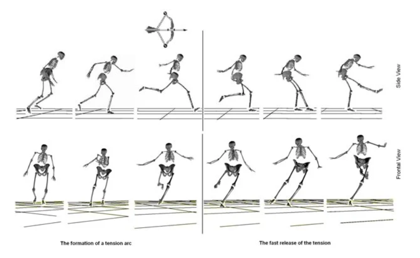 The Science Behind a Powerful Shot