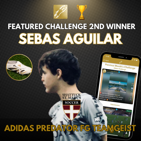 Predator FG Teamgeist winner square